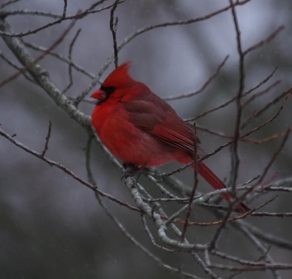 2015 01 26 HTP 000021229e